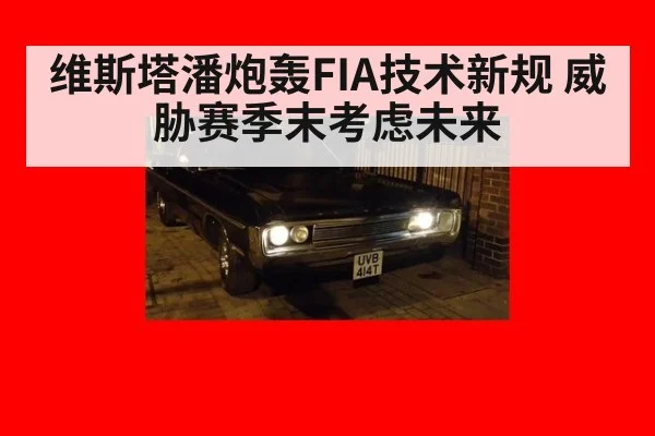 维斯塔潘炮轰FIA技术新规 威胁赛季末考虑未来 - hth